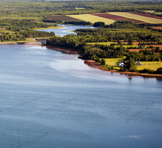 PEI Aquaculture Alliance